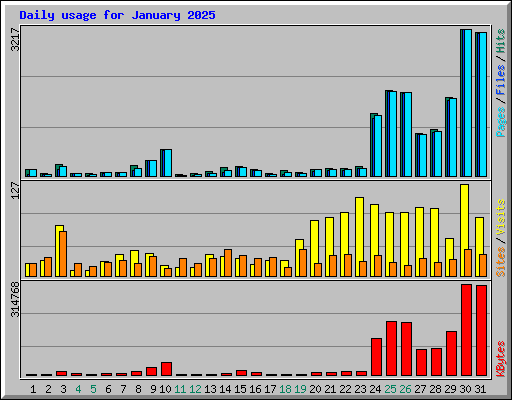Daily usage for January 2025