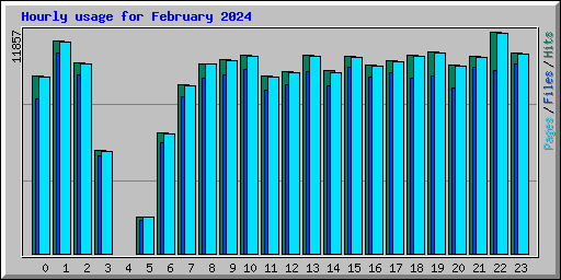 Hourly usage for February 2024