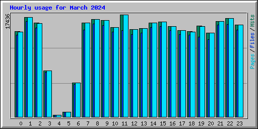 Hourly usage for March 2024