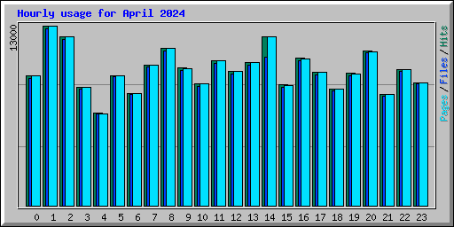 Hourly usage for April 2024