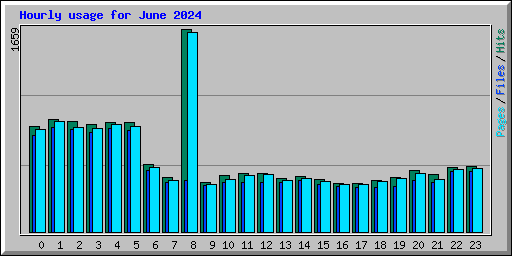 Hourly usage for June 2024