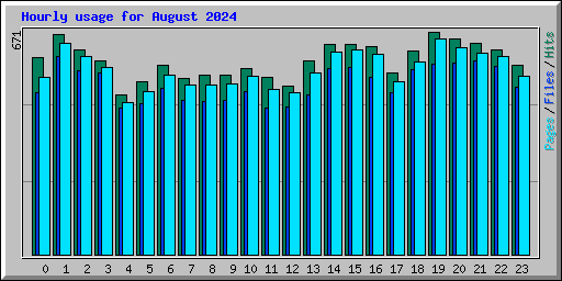 Hourly usage for August 2024