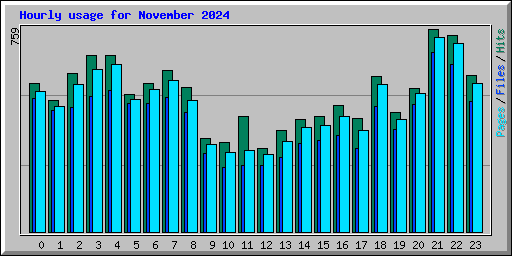 Hourly usage for November 2024