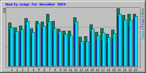 Hourly usage for December 2024