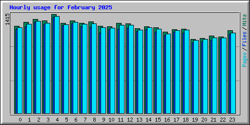 Hourly usage for February 2025