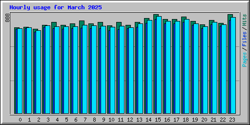 Hourly usage for March 2025