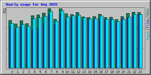 Hourly usage for May 2025