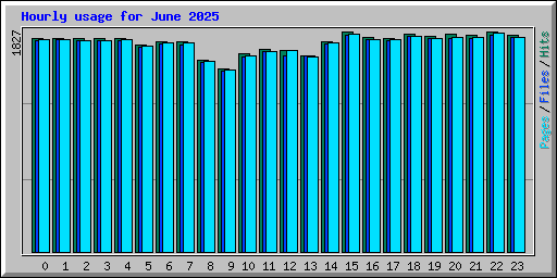 Hourly usage for June 2025