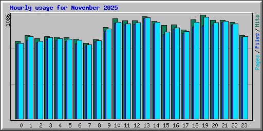 Hourly usage for November 2025