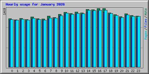 Hourly usage for January 2026