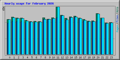 Hourly usage for February 2026